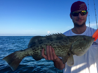 Angling Adventures Gag Grouper